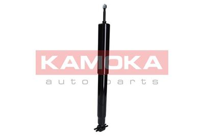 Shock Absorber 2000870