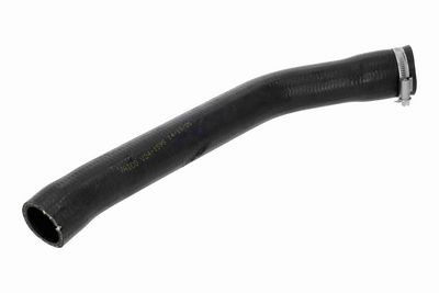 FURTUN EAR SUPRAALIMENTARE VAICO V241595