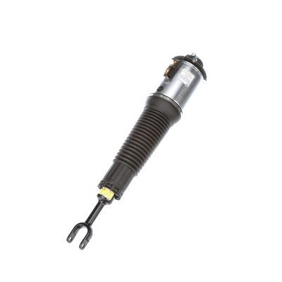 LUFTFEDERBEIN Arnott AS2561 60