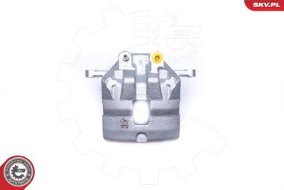 Brake Caliper 45SKV172