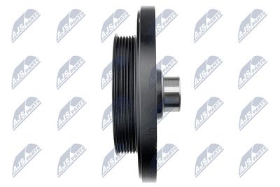 FULIE CUREA ARBORE COTIT NTY RKPME004 2