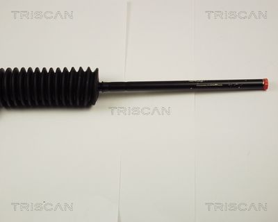 CASETA DIRECTIE TRISCAN 851028300 2