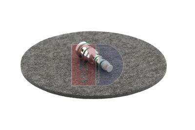 REGELVENTIL KOMPRESSOR AKS DASIS 859025N 9