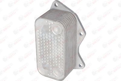 RADIATOR ULEI ULEI MOTOR BIRTH 80313 8