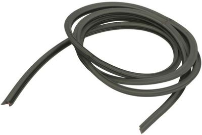 Weerstrip Voor past: NISSAN MICRA IV 05.10-
