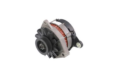 GENERATOR / ALTERNATOR REMANTE 011003000080R 9