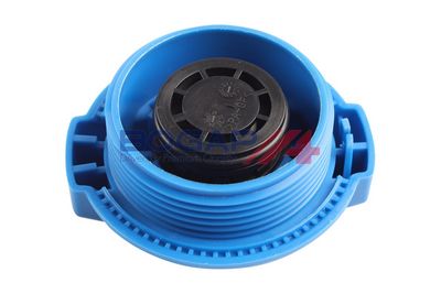 VAS DE EXPANSIUNE RACIRE BOGAP A4240135 6