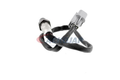 SONDA LAMBDA ACKOJA A53760012 37