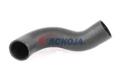 FURTUN EAR SUPRAALIMENTARE ACKOJA A380298 58