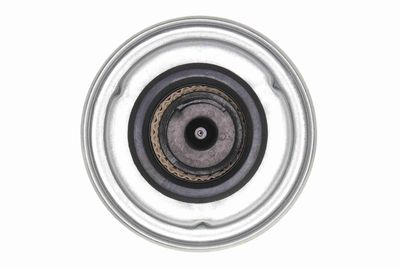FILTRU COMBUSTIBIL VAICO V250111 1