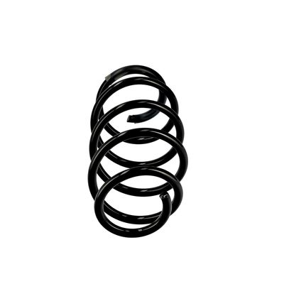 ARC SPIRAL EIBACH R10096 13