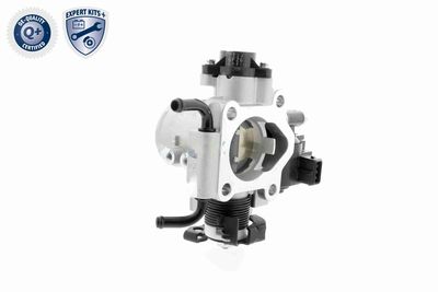 CARCASA CLAPETA ACKOJA A53810002 7