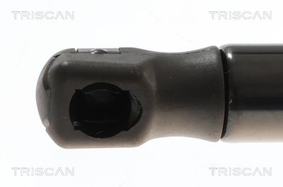 AMORTIZOR PORTBAGAJ TRISCAN 871069229 1