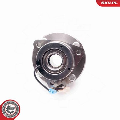 SET RULMENT ROATA ESEN SKV 29SKV109 2