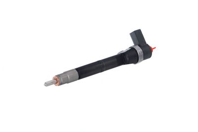 INJECTOR REMANTE 002003001084R 6