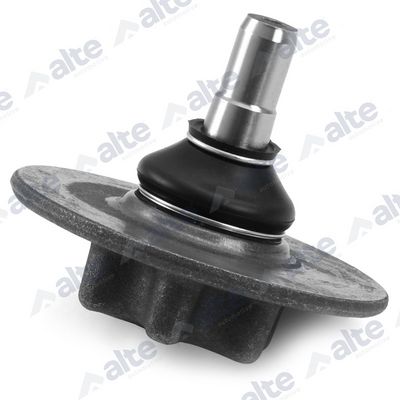 ARTICULATIE SARCINA/GHIDARE