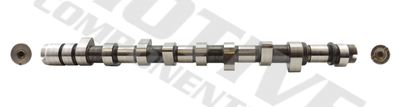 MOTIVE T1004 Распредвал  для RENAULT MEGANE I Classic (LA0/1_) 1.9 D (LA0A, LA0U, LA0R)