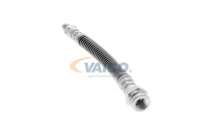 FURTUN FRANA VAICO V429579 11