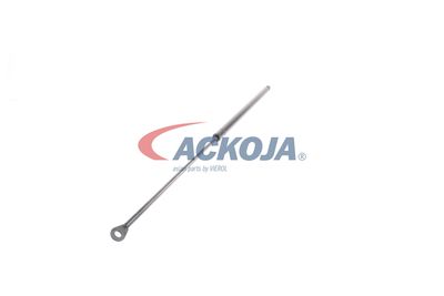 AMORTIZOR PORTBAGAJ ACKOJA A520065 29