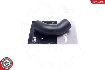 FURTUN EAR SUPRAALIMENTARE