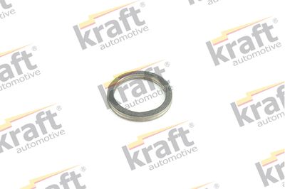 Seal Ring, exhaust pipe 0533530