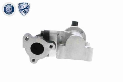 SUPAPA EGR ACKOJA A53630001 5