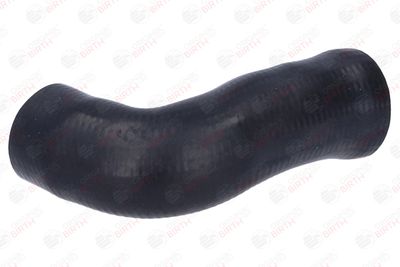 FURTUN EAR SUPRAALIMENTARE BIRTH 55948 6