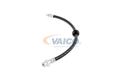 FURTUN FRANA VAICO V204103 14