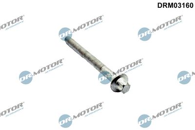 SURUB CHIULASA Dr.Motor Automotive DRM03160