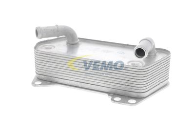 RADIATOR ULEI ULEI MOTOR VEMO V10600008 5