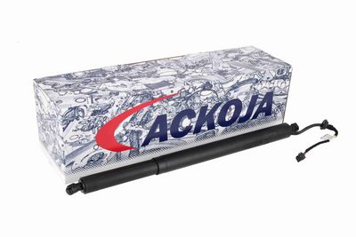 MOTOR ELECTRIC HAION ACKOJA A52550015 1