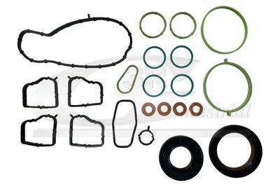 SET GARNITURI CARTER