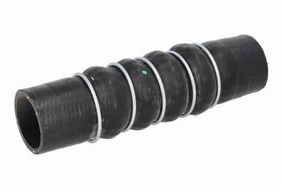 FURTUN EAR SUPRAALIMENTARE ACKOJA A269676 1