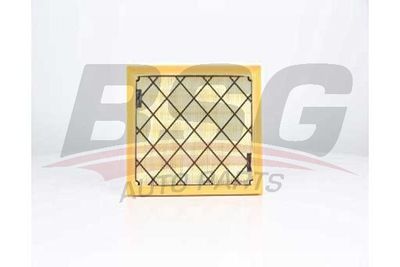 Воздушный фильтр BSG BSG 30-135-031 для FORD S-MAX