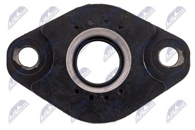 CAPAC INJECTOR NTY BWPPL002A 3