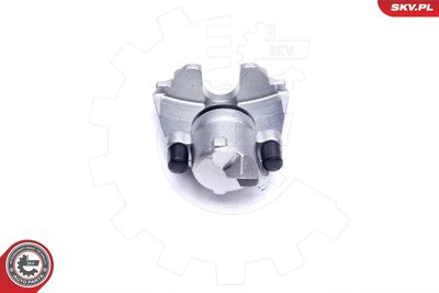 Brake Caliper 44SKV641