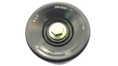 VKM 64087