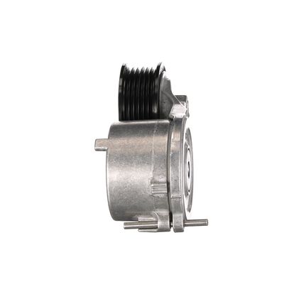 INTINZATOR CUREA CUREA DISTRIBUTIE GATES T39513 33