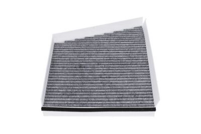 FILTRU AER HABITACLU AMC Filter FCA10117C 3