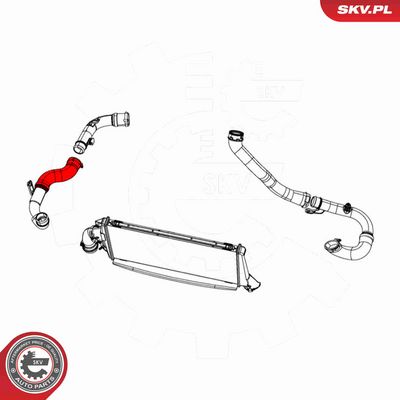 FURTUN EAR SUPRAALIMENTARE ESEN SKV 43SKV204 3
