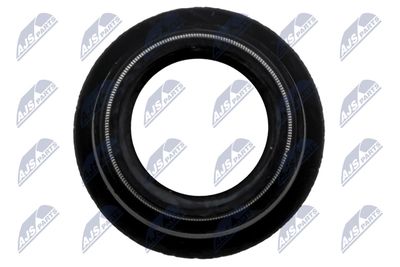 ETANSARE SUPORT INJECTOR NTY BWPTY001 3