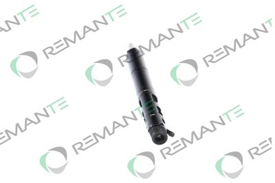 INJECTOR REMANTE 002003000051R 1