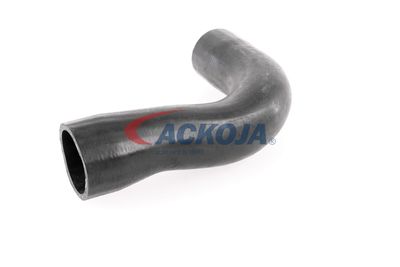 FURTUN EAR SUPRAALIMENTARE ACKOJA A389600 27