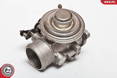 EGR Valve 14SKV020