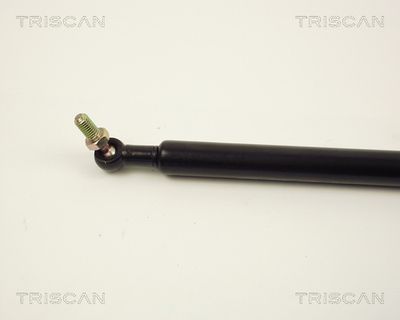 AMORTIZOR PORTBAGAJ KAWE 871013206 1