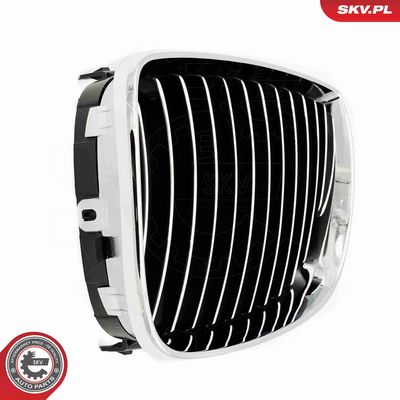 GRILA RADIATOR ESEN SKV 66SKV004 8
