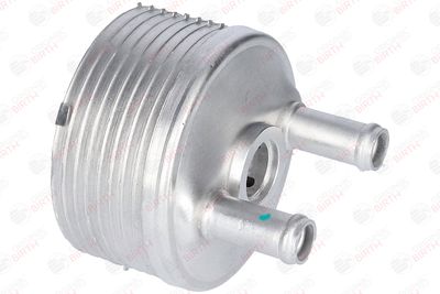 RADIATOR ULEI ULEI MOTOR BIRTH 8962 11