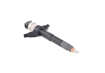INJECTOR REMANTE 002003001019R 51
