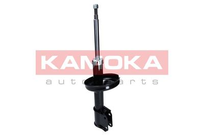 Shock Absorber 2000489