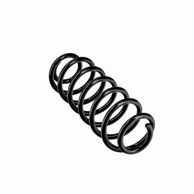 ARC SPIRAL EIBACH R10795 23